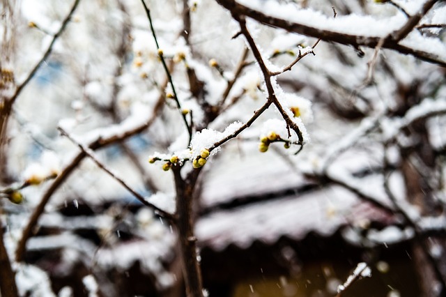 细节可能决