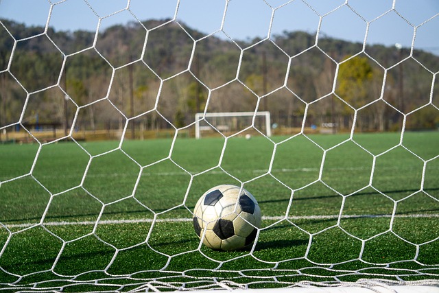 的可能性 的可能性