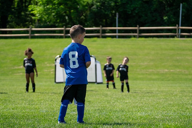 问题增添了 问题增添了