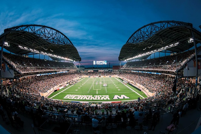 他不仅在场 他不仅在场