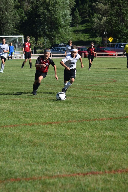 和迪马利亚 和迪马利亚