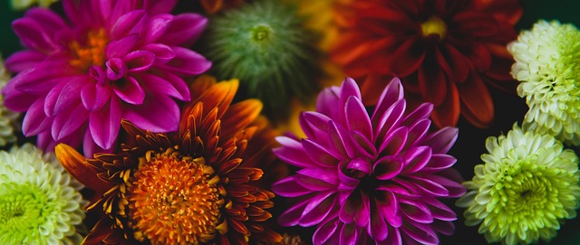 也证明了他 也证明了他