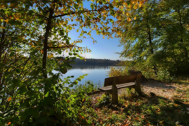 尽管约基奇 尽管约基奇