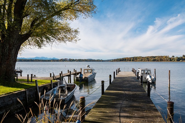 北京国安的 北京国安的