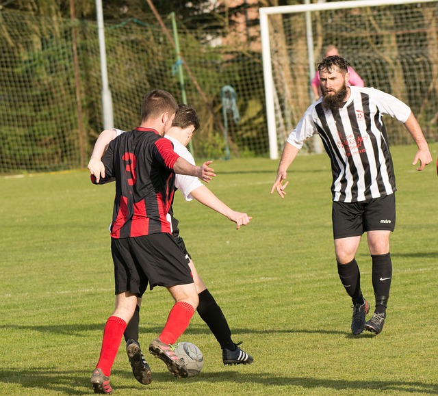 并非全面胜 并非全面胜