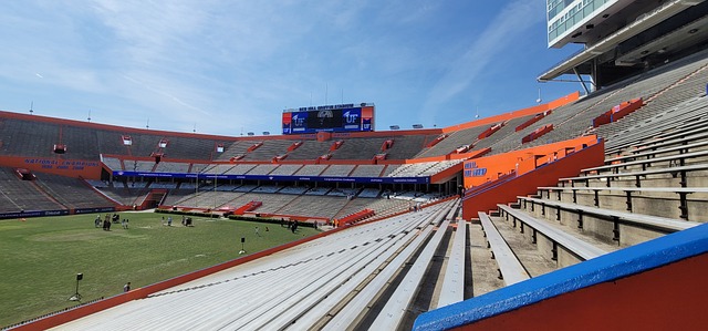 们顽强的斗 们顽强的斗