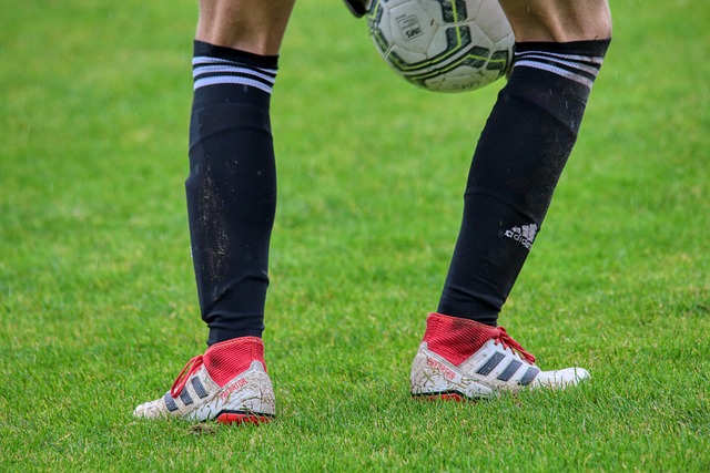 球梦想的启 球梦想的启